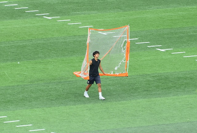 提供了展现