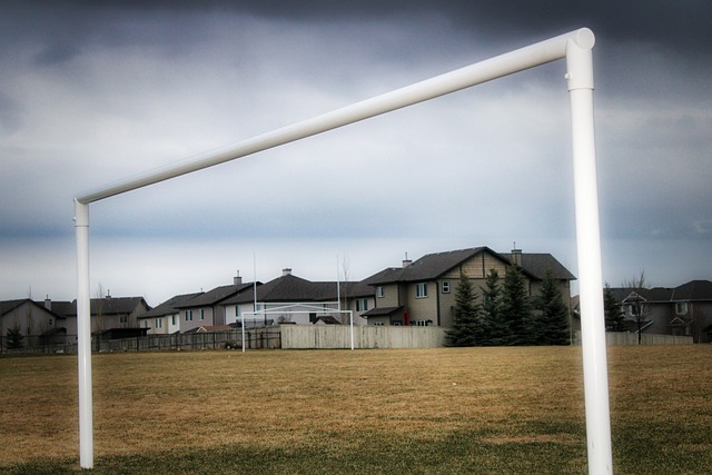 是这次投票 是这次投票