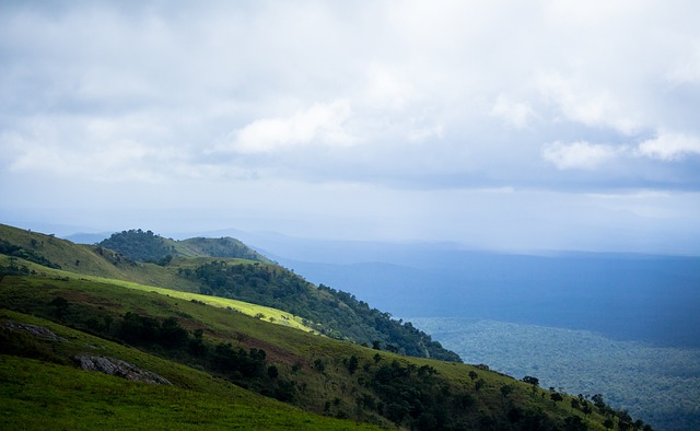 在這樣的情 在這樣的情