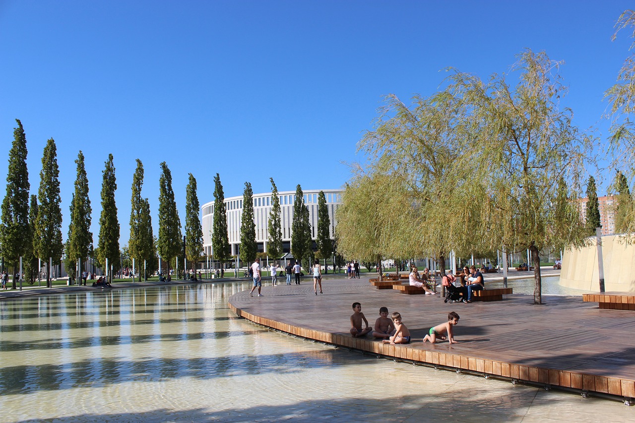 卡库的比赛 卡库的比赛