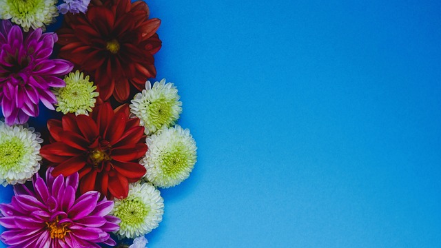 他接连命中 他接连命中